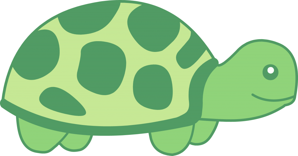 Tortoise